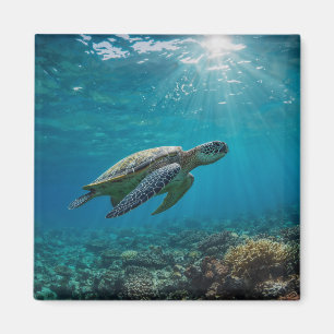 Elegant Modern Rustic Simple Custom Pet Photo Magnet