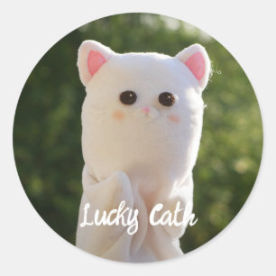 Elegant Modern Simple Personalized Photo Classic Round Sticker