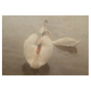 Elegant Modern Watercolors Art Swans On The Danube Wood Poster