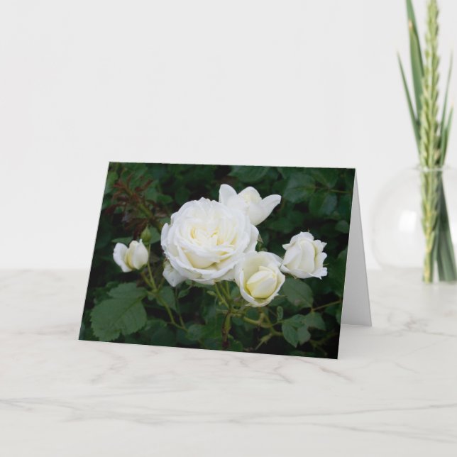 Elegant Modern White Roses Flowers Photo Sympathy Card (Front)
