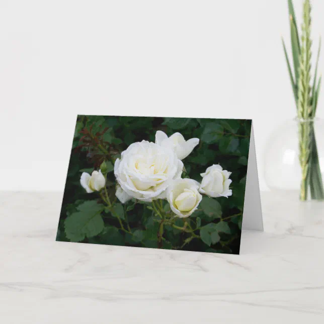 Elegant Modern White Roses Flowers Photo Sympathy Card | Zazzle