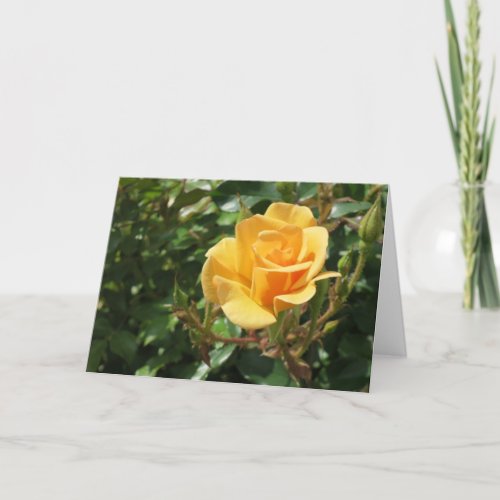 Elegant Modern Yellow Rose Flower Photo Sympathy Card