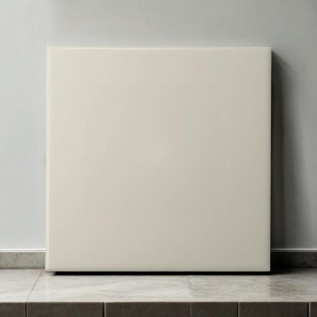 Elegant Monochrome Porcelain Modern Minimalist Ceramic Tile (Creator Uploaded)