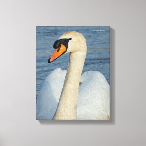 Elegant Mute Swan Waterbird on the Lake Canvas Print