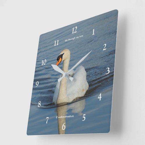 Elegant Mute Swan Waterbird on the Lake  Square Wall Clock