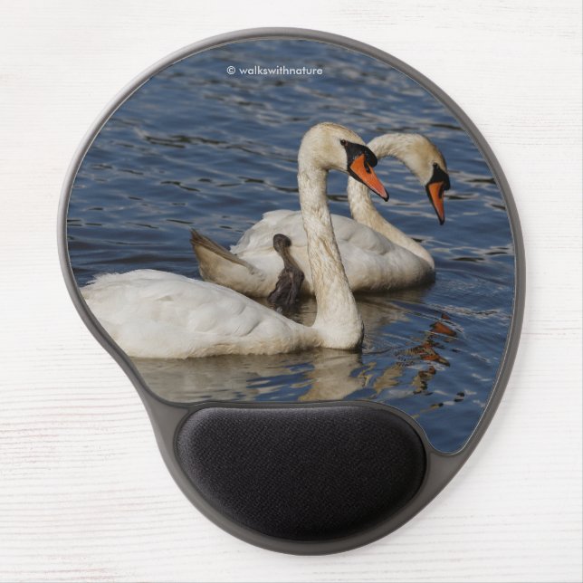Elegant Mute Swans at Stanley Park Lagoon Gel Mouse Pad (Front)