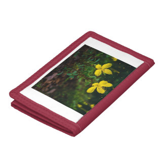 Elegant Nature-Inspired Wallet