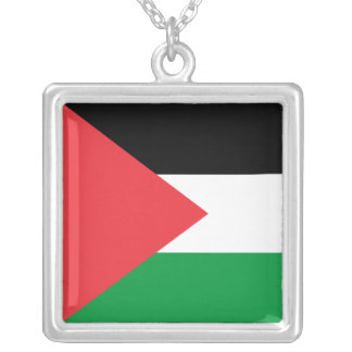 Elegant Necklace with Flag of Palestine