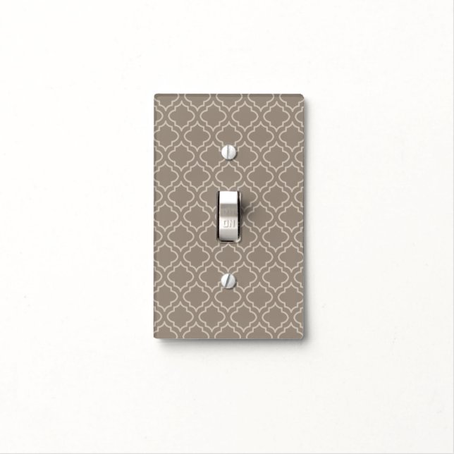 Elegant Neutral Light Switch Cover (In Situ)