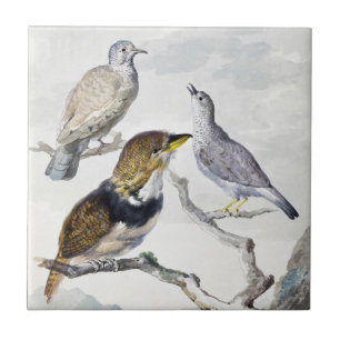 Elegant Neutral Tone Birds on Branch Art Ceramic Tile