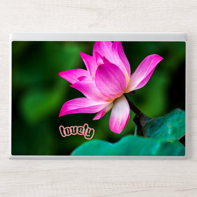 Elegant Neutral Tone Laptop Skin for Daily Use.    (Front)