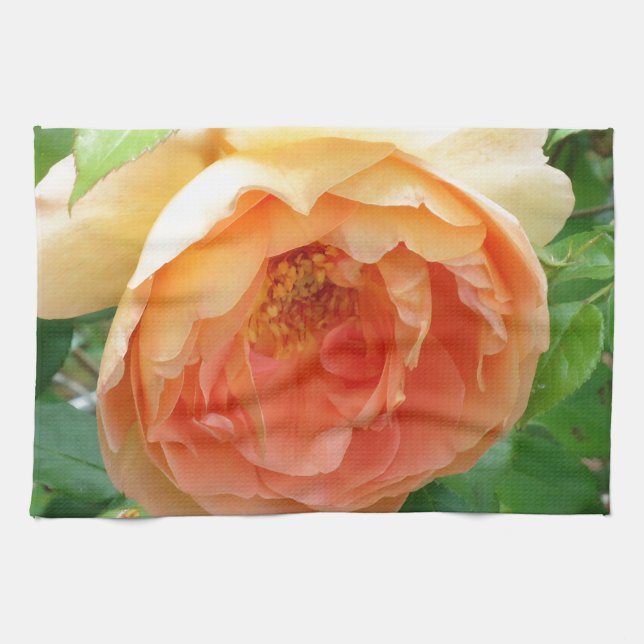 Elegant Orange Blush Rose Towel (Horizontal)