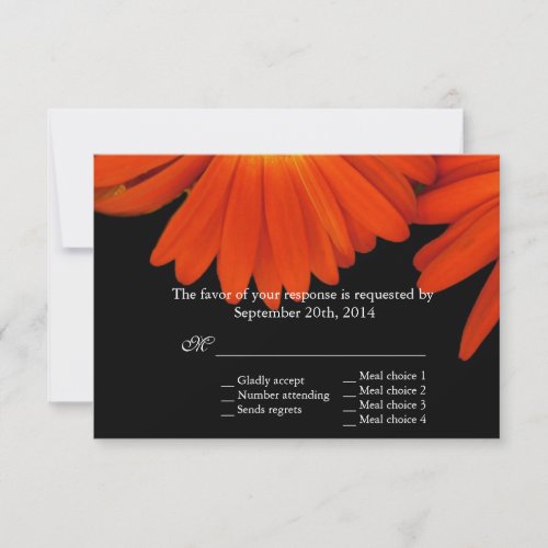 elegant orange gerbera daisy flowers RSVP