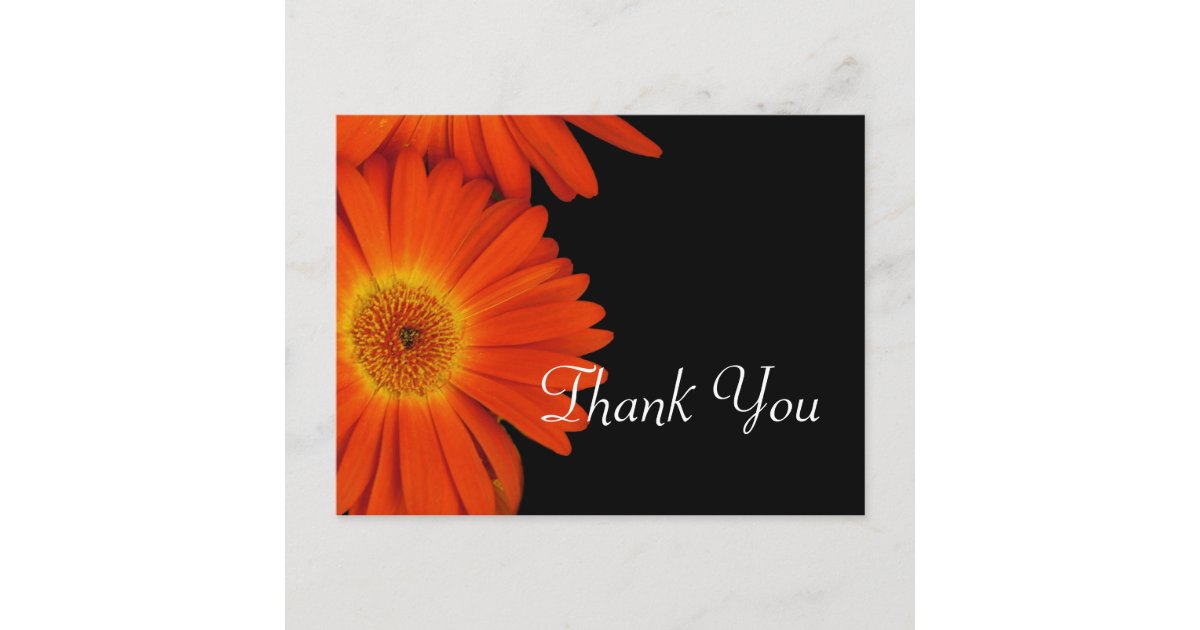 Elegant orange gerbera daisy flowers wedding favor postcard | Zazzle