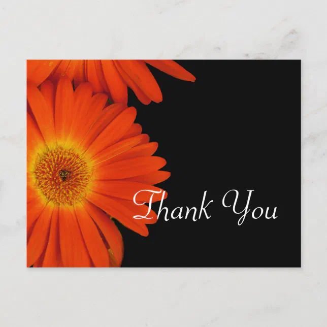 Elegant orange gerbera daisy flowers wedding favor postcard | Zazzle