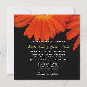 elegant orange gerbera daisy wedding invitation
