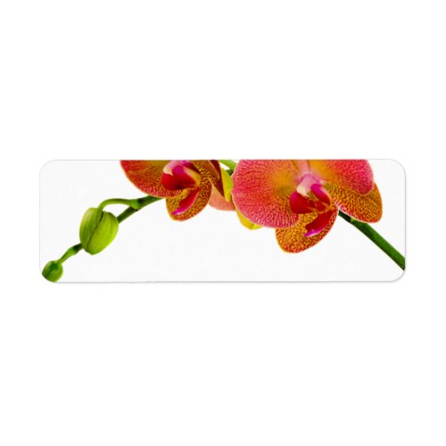 Elegant Orange Orchids Custom Blank Labels