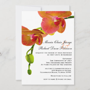 Elegant Orange Orchids Tropical Beach Wedding Invitation