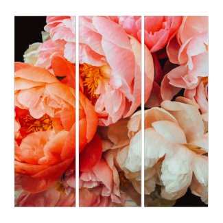 Elegant Orange, Pink and Cream Peonies Triptych