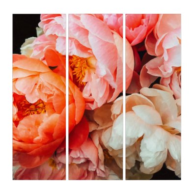 Elegant Orange, Pink and Cream Peonies Triptych