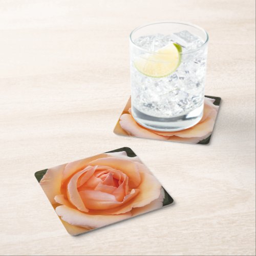 Elegant Orange Rose Bloom Floral Square Paper Coaster