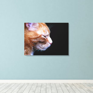 Elegant Orange Tabby Cat Wrapping Paper — Dramatic Canvas Print