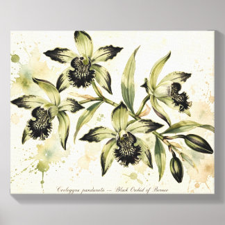 Elegant Orchid Botanical Canvas Art Print Photo Tile