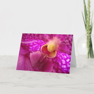 Elegant orchid graphic photo card