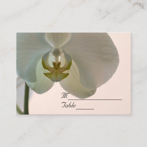 Customizable Elegant Orchid Wedding RSVP Response Card Business Cards