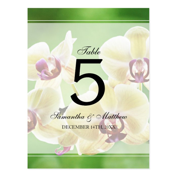 Elegant Orchids Wedding Table Number Post Cards