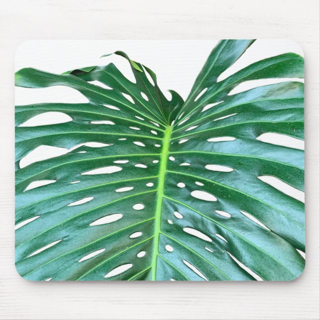 Elegant Palm Leaf tropical jungle rainforest leaf Mouse Pad (Front)