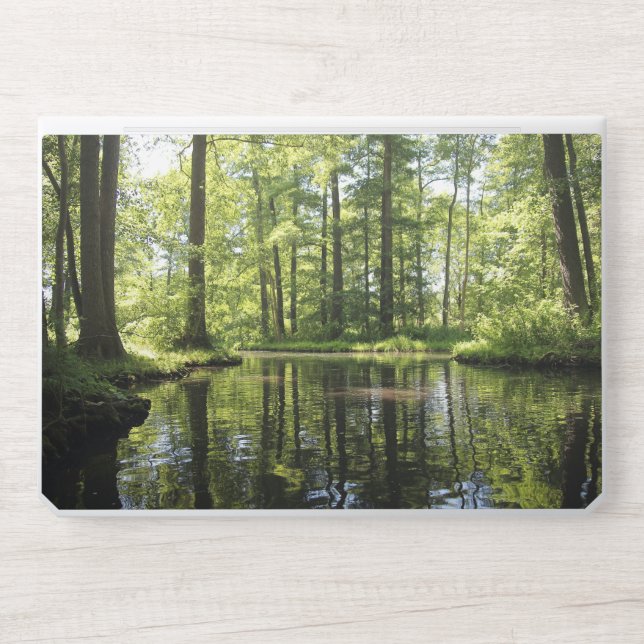 Elegant Pastel Nature Scene  HP Laptop Skin (Front)