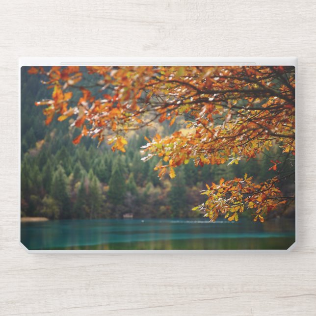 Elegant Pastel Nature Scene  HP Laptop Skin (Front)