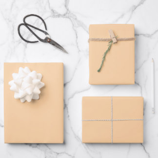 Elegant pastel peach Minimalist and chic Wrapping Paper Sheets