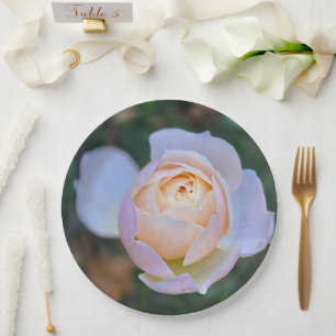 Elegant Pastel Pink Yellow Rose Paper Plates