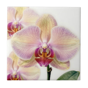 Elegant Pastel Purple Orchid Bloom Ceramic Tile