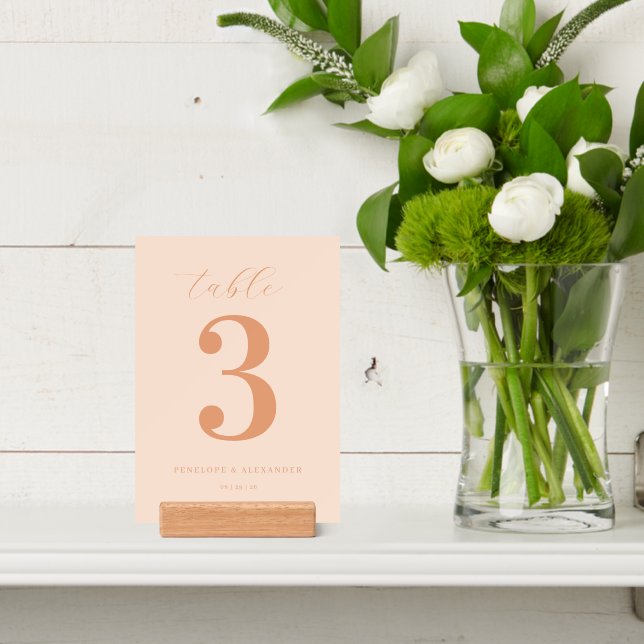 Elegant Peach Minimalist Number Card Holder (Insitu 4)