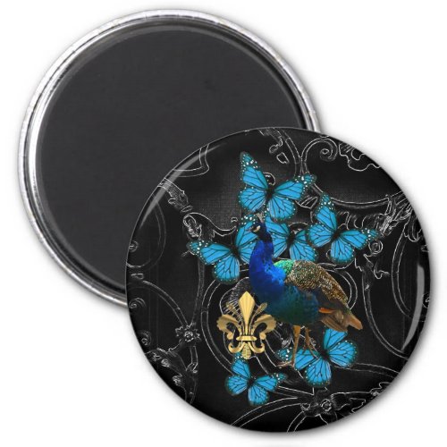 Elegant Peacock and blue butterflies on black Magnet