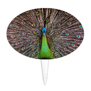 Elegant Peacock Bird and Feather Artwork Cake Topper