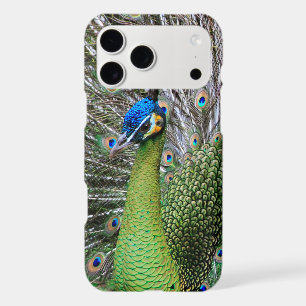 Elegant Peacock Bird and Feather Artwork iPhone 17 Pro Max Case