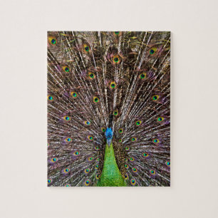 Elegant Peacock Bird and Feather Artwork Jigsaw Puzzle