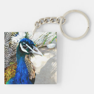 Elegant Peacock Bird and Feather Artwork Keychain
