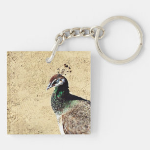 Elegant Peacock Bird and Feather Artwork Keychain