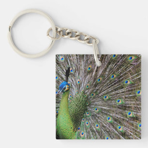 Elegant Peacock Bird and Feather Artwork Keychain