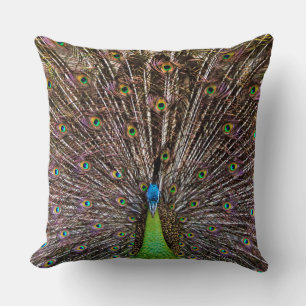 Elegant Peacock Bird and Feather Artwork Throw Pillow