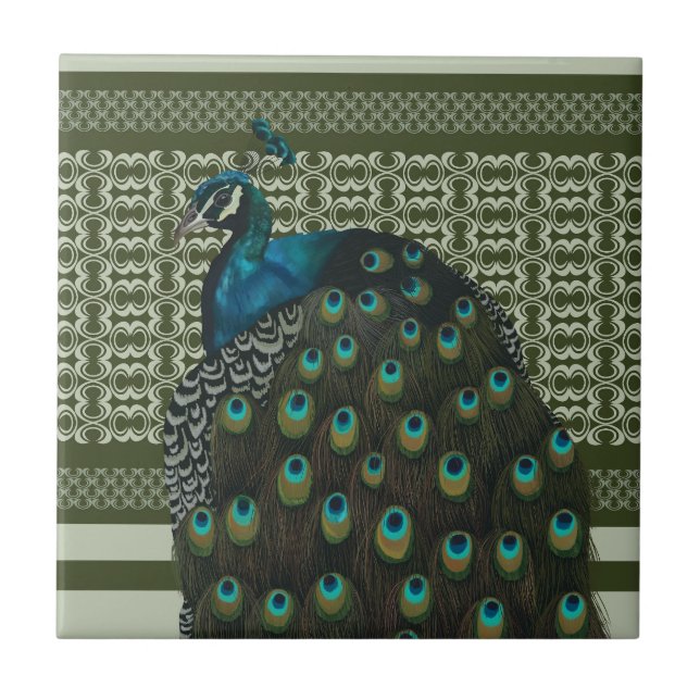 Elegant Peacock Bird Bird Lovers Ceramic Tile (Front)