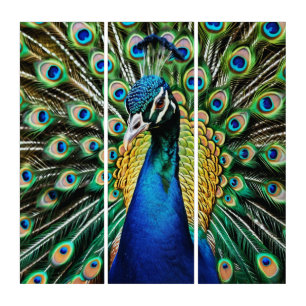 Elegant Peacock Bird Blue Turquoise Wall Triptych