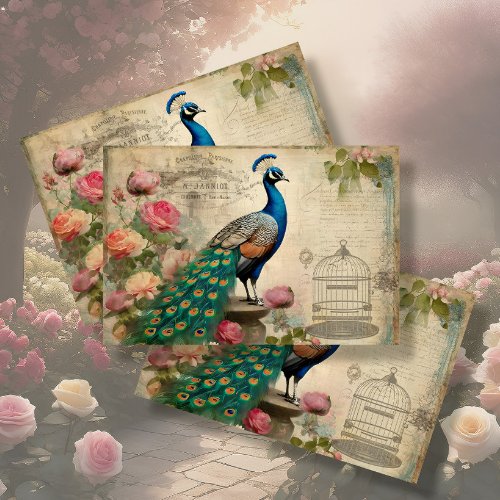 Elegant Peacock Birdcage Floral Ephemera Decoupage Tissue Paper