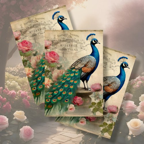 Elegant Peacock Birdcage Floral Ephemera Decoupage Tissue Paper