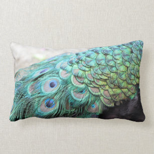 peacock colored pillows